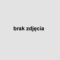 skoki narciarskie